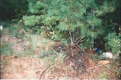 area where Elaine Nix's body was found