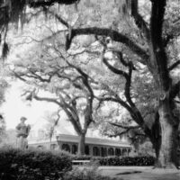 myrtles plantation