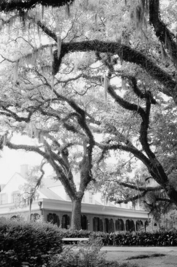 myrtles plantation