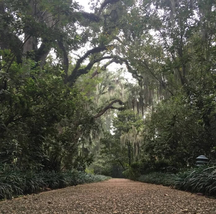 grounds at the myrtles